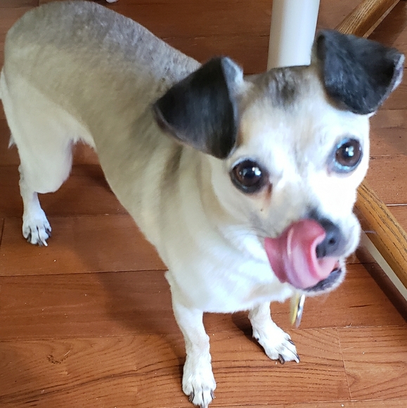 Meet your Posher, Melanie - Picture 1 of 1